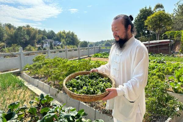 揭开双童子命的神秘面纱：探索命理与人生的奥秘