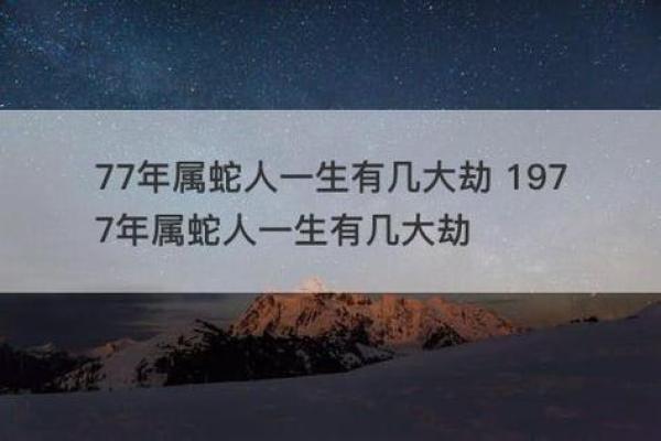 1952年属蛇的人：神秘、智慧与命运的交织之旅