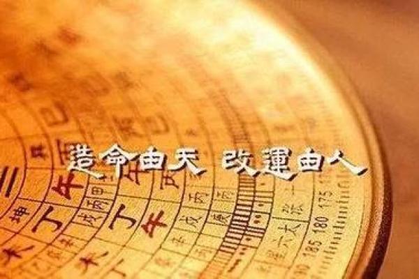 1995腊月十五的命运解析：八字命理背后的秘密