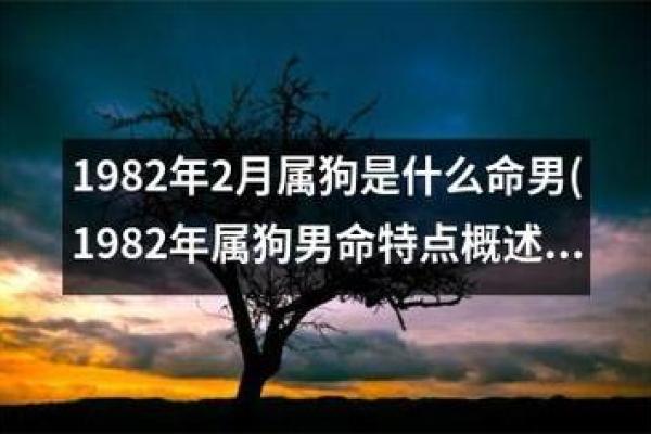 94年属狗人的命运解析与人生建议