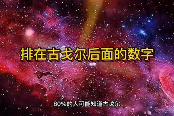 1982年出生者的命运解析：探索个人性格与人生轨迹的奥秘