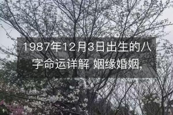 1987年炉中火命的五行缺失与补救之道