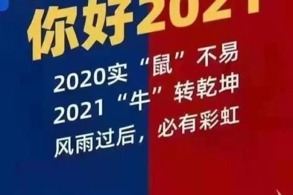 2021年属牛人的命理分析与生活指导