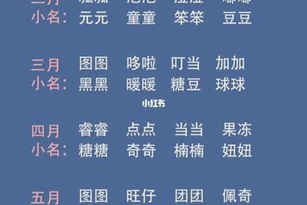 虎宝宝男孩命格解析：揭示未来的重要性与潜能