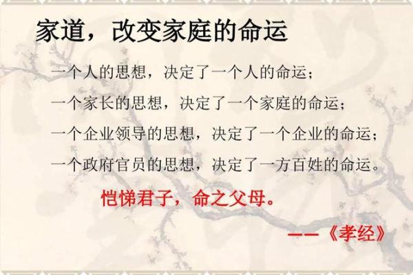 将军夫人命格解析：她们的幸福与命运