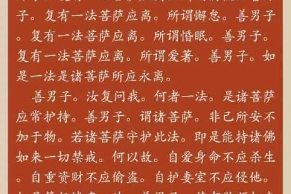 命理358的深刻含义：探寻生活中的数字智慧与人生启示