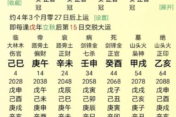 甲辰年出生的人命运解析：探秘五行与命理之道