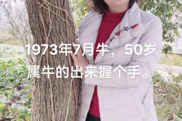 73年属牛人的命运与性格解析：踏实务实，蓄势待发的新机遇