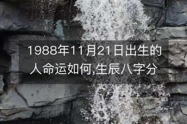 1984年出生的朋友，你的命运和五行是什么？解密1984年命理之旅！