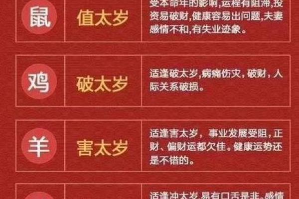 2019年属相回顾：命运解析与人生指引