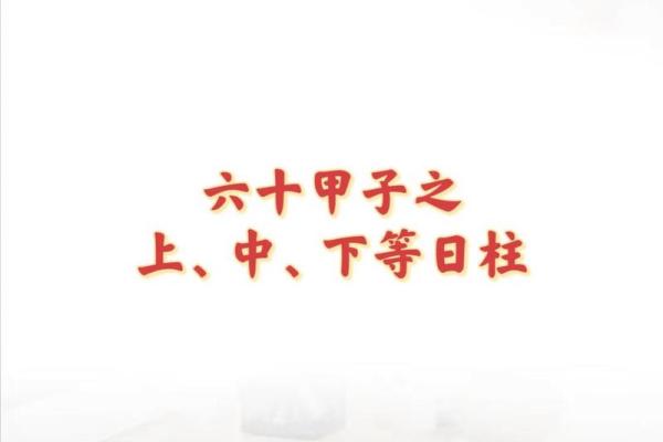 庚午甲申乙亥己卯：八字命理中的五行之美与人生哲学探讨