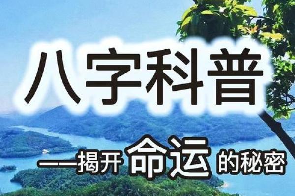 2023年：龙年与命理的奇妙交织，揭开命运的秘密！