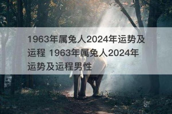 属兔1962：命运与性格的深度解析