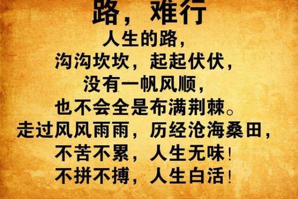 2005年马年出生的人命运解析与人生建议