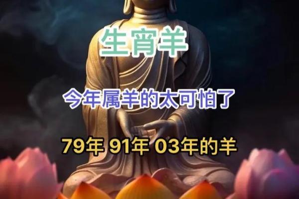 探索七九年羊属人的命运与性格特点