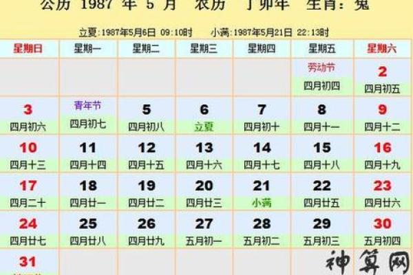 1987年阴历属兔者的命运与人生启示