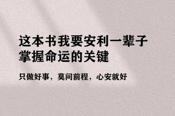 过去十年命运的轨迹：解读生活中的转折与成长