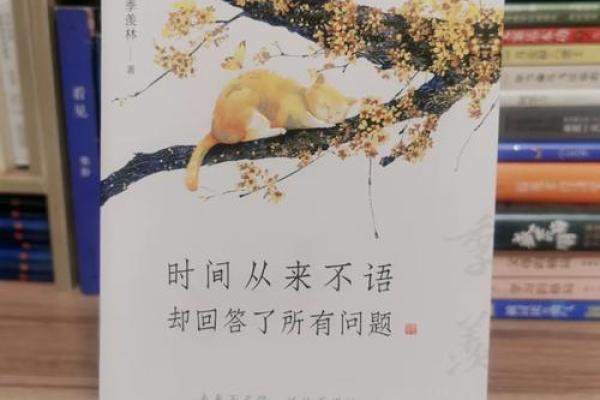 解密82岁的人属什么命，探讨人生的智慧与经历