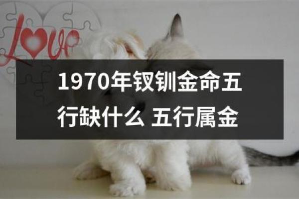 1970年出生的人命运解析：性格、事业与人生道路的深度剖析