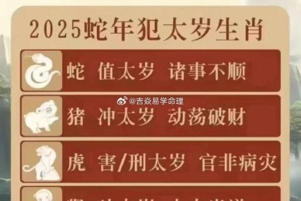 2019年蛇年命理解析：如何掌握自己的命运与机会！