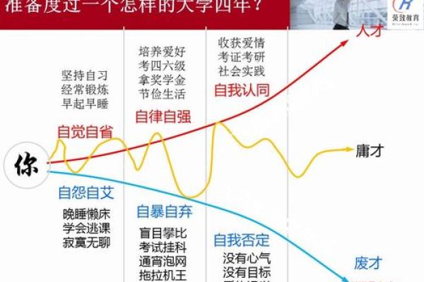 2993年属鸡的命理解析与人生规划