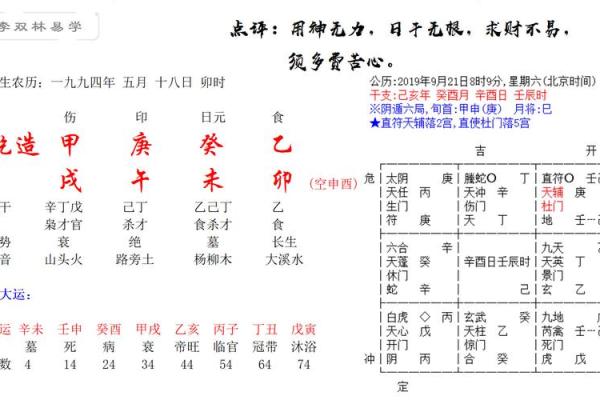 1979乙亥年命理解析：了解你的命运与人生之路