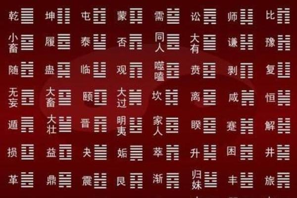 1943年属什么命？八字命理与生活的哲学探索