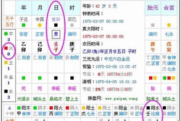 丙辰日生人的命运解析：从五行看其性格与运势