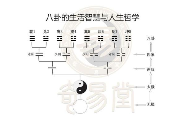 探索1957年出生的你：命理解析与人生智慧