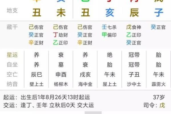 14时出生的命理解析：值得关注的人生轨迹与运势