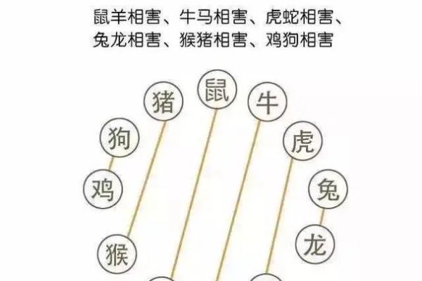 揭秘：哪些动物命中注定有横财，助你发财致富！