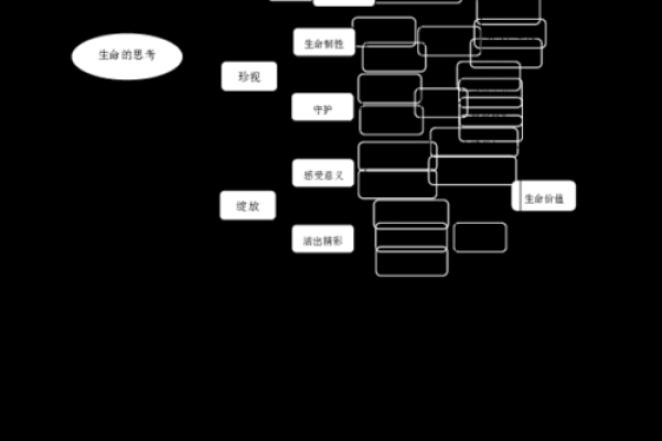 2006年出生的人命运解析：探索生命的奥秘与精彩