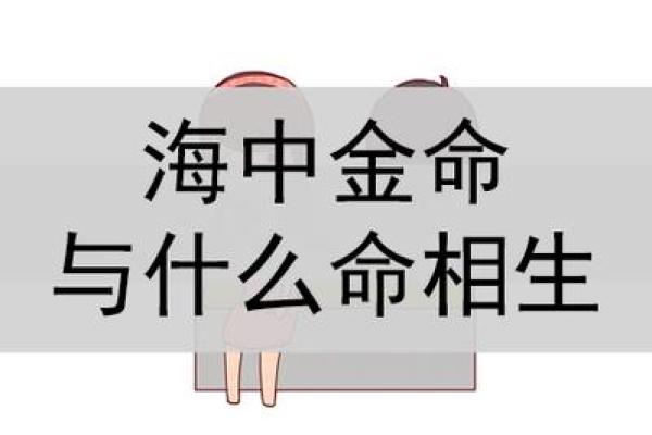 海中金命人适合哪些买卖？探索理想商机，开启财富之门！