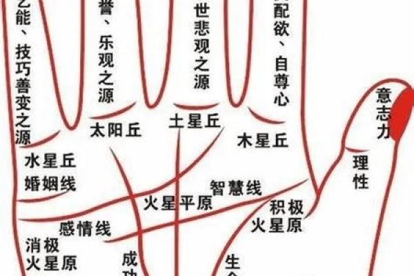 道家算命揭秘：探寻命格之奥秘，洞察人生的秘密