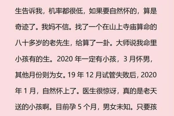 探索65年正月出生的人的命运：命理背后的秘密与智慧