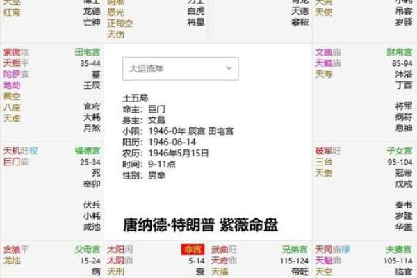 探索65年正月出生的人的命运：命理背后的秘密与智慧