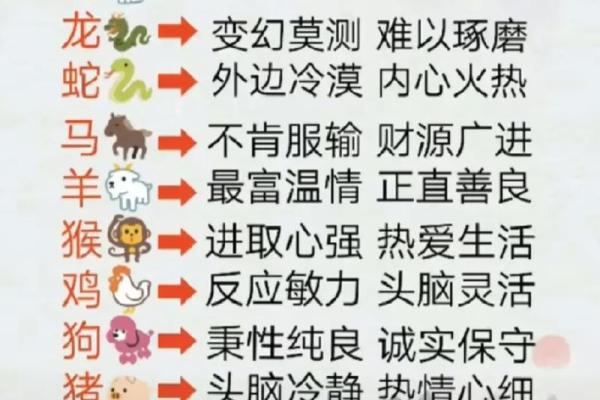 2023年的虎兔命：如何借助生肖智慧提升生活品质