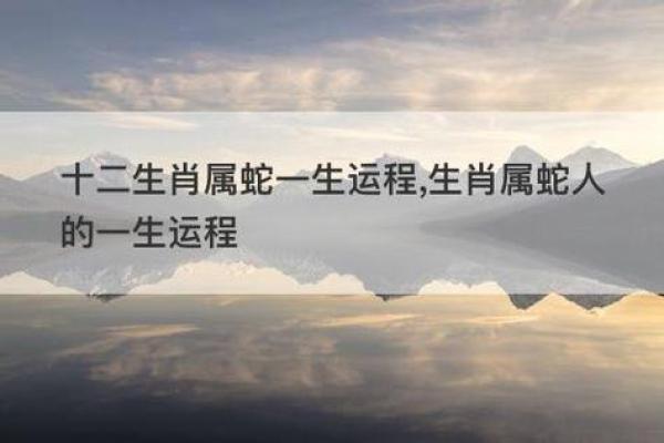 1965年属蛇的人生机遇与挑战