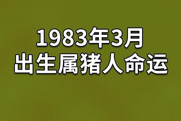 1978年出生的孩子，命运与性格的奇妙探索