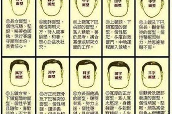 1953年命理分析：探索这一年出生的人的命运特点与性格魅力