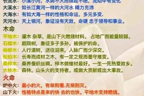 探索命理学的奥秘：适合初学者的推荐书籍与指导