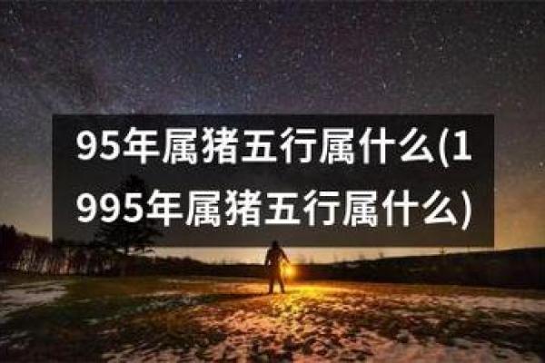 1984年属猪人命运解析：财富与幸福的双重美好