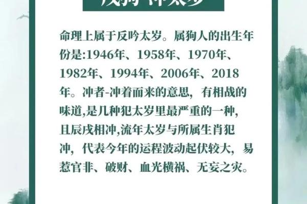 1976年龙年：解锁命理中的风趣与智慧