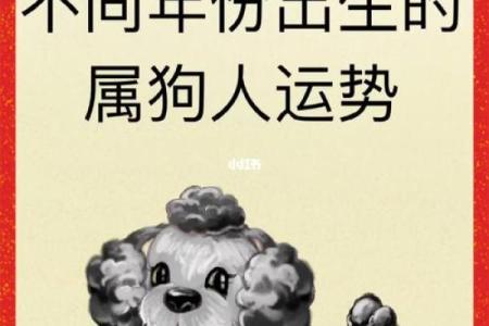 82年属狗命理解析：揭示你的性格与运势之秘