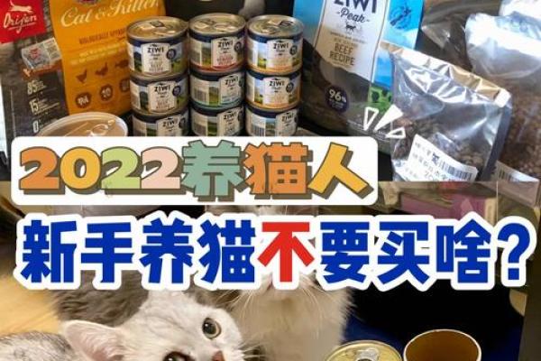 揭秘命格与养猫：如何选择适合你的猫咪？