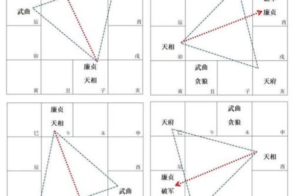 揭秘天府夹命：如何成为命运的赢家