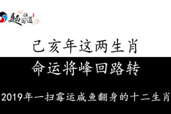 2019年43岁命运解析：寻找人生的新方向与成长机遇