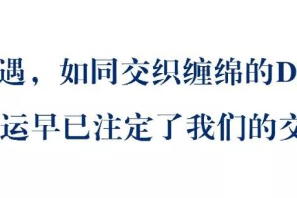 1999年出生的鼠年命运解析：探寻幸福与成功的道路