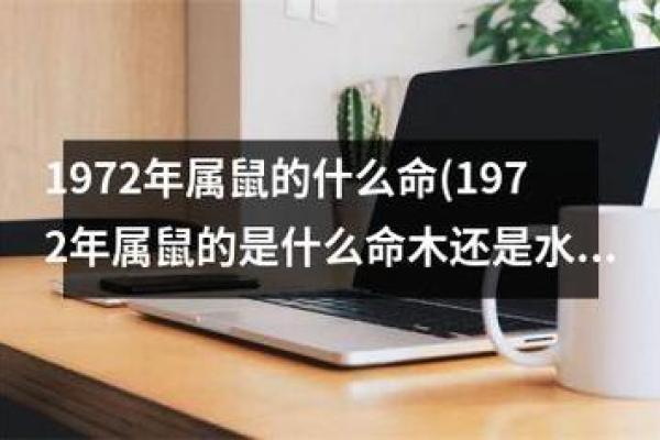 揭开木命之谜：从数字角度探寻人生的好运与机遇