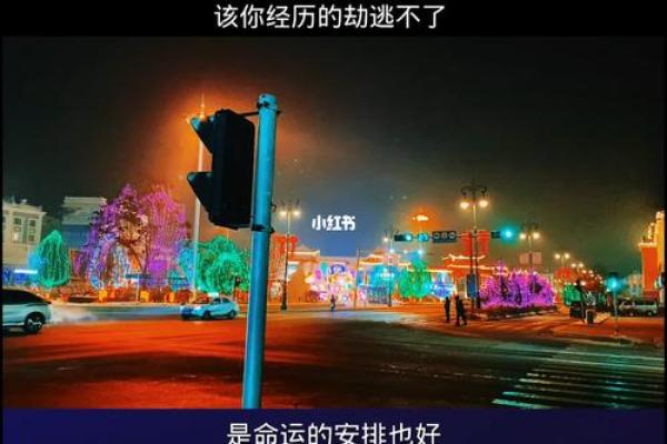 35码鞋子揭示的秘密：你不知道的命运和运势